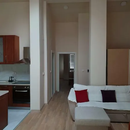 Apartment In The Center Of The City